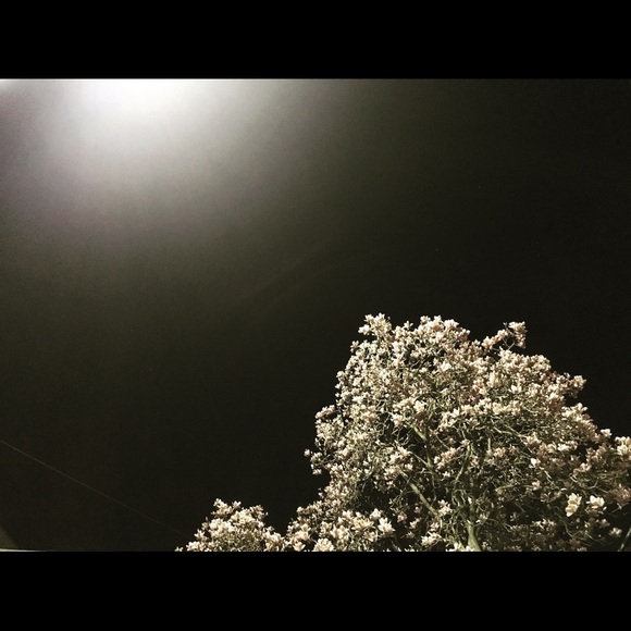 Sharing the love from my own collection. - Picture 1 of 1